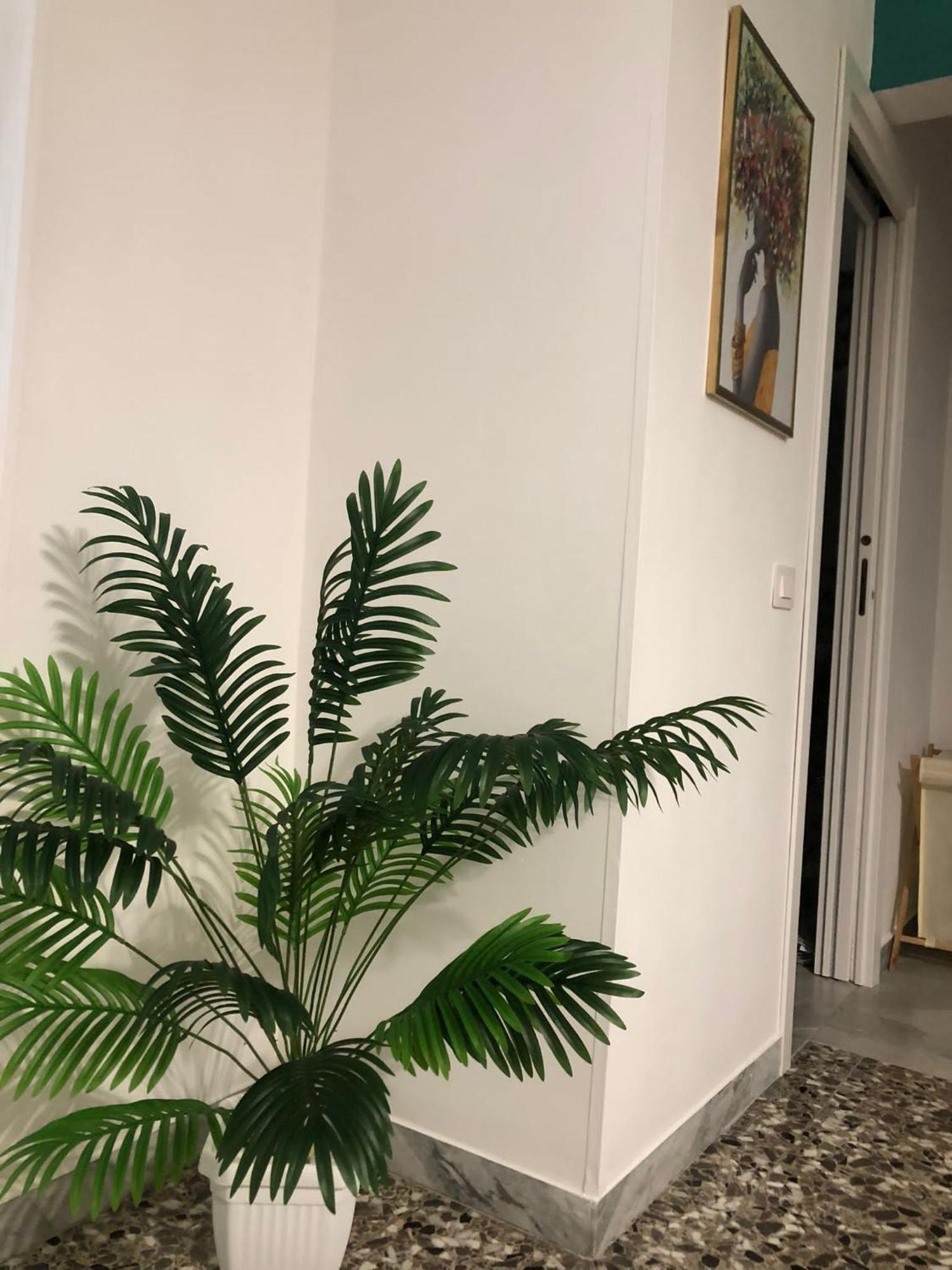 Dimora Gallo Fasano Buitenkant foto